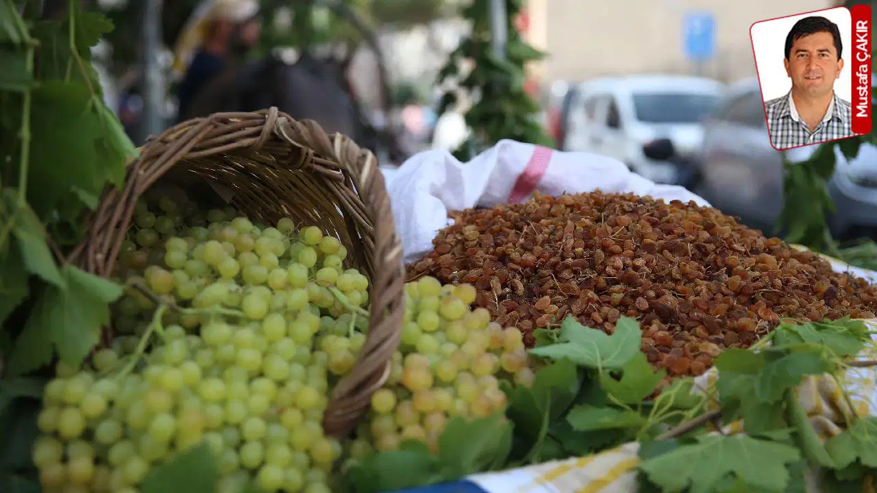 İktidar Kuru Üzümde Geçen Yılın Altında Fiyat Açıklamasıyla Çileleri Artırdı