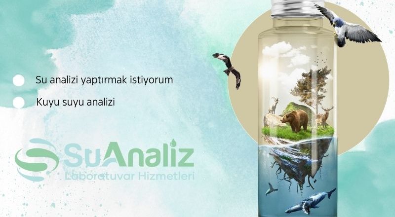 Su Analizi Yaptırmak İstiyorum: Dikkat Edilmesi Gereken 5 Kritik Nokta