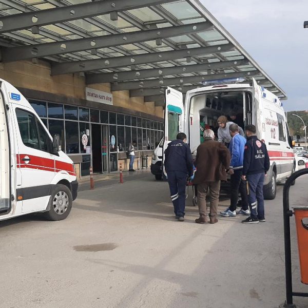 Muğla’da başıboş köpeklerin saldırdığı çocuk yaralandı