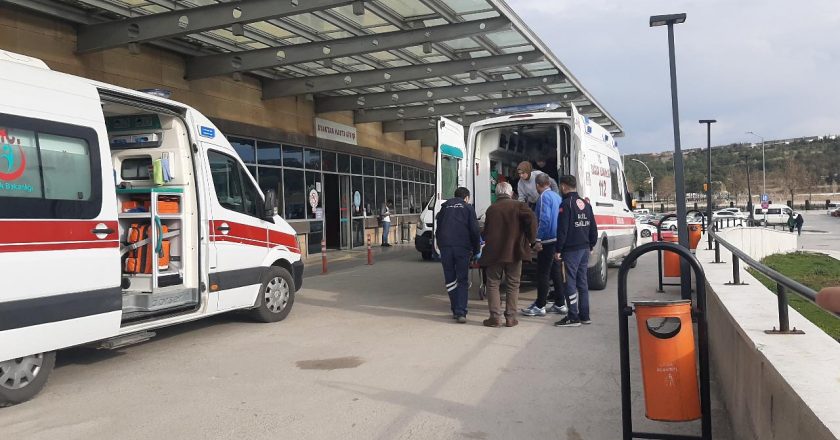 Muğla’da başıboş köpeklerin saldırdığı çocuk yaralandı