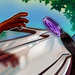 Moonbirds NFT satışları IP devrinin ardından yüzde 2.500 artış gösterdi