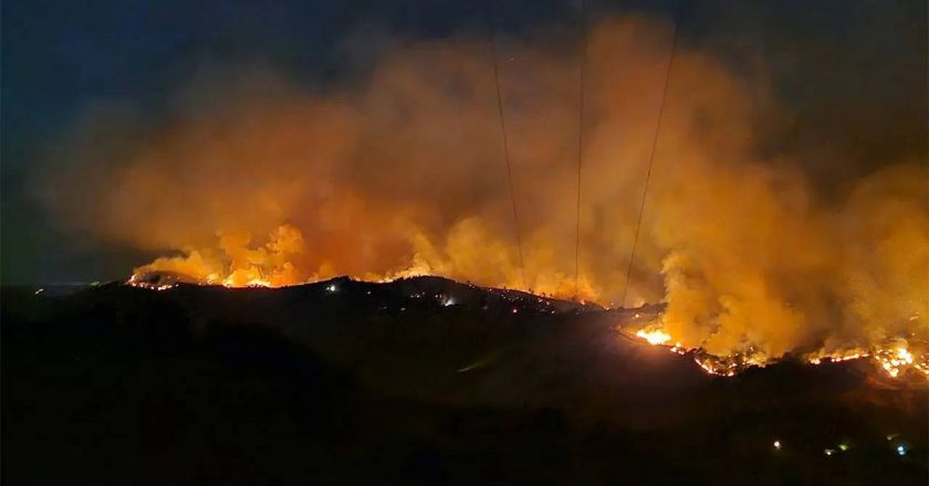 Manisa’daki yangınla ilgili 1 kişi tutuklandı – Son Dakika Türkiye Haberleri