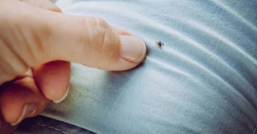 Sivas’ta KKKA alarmı: Ölü sayısı 6’ya yükseldi! – Son Dakika Türkiye Haberleri