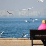 Yeni haftada hava nasıl olacak?