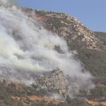 Hatay’da ormanlık alanda yangın – Son Dakika Haberleri
