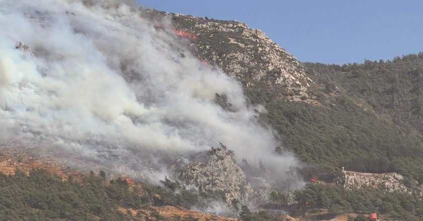 Hatay’da ormanlık alanda yangın – Son Dakika Haberleri