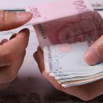 Tarımsal destek ödemeleri hesaplara yatıyor