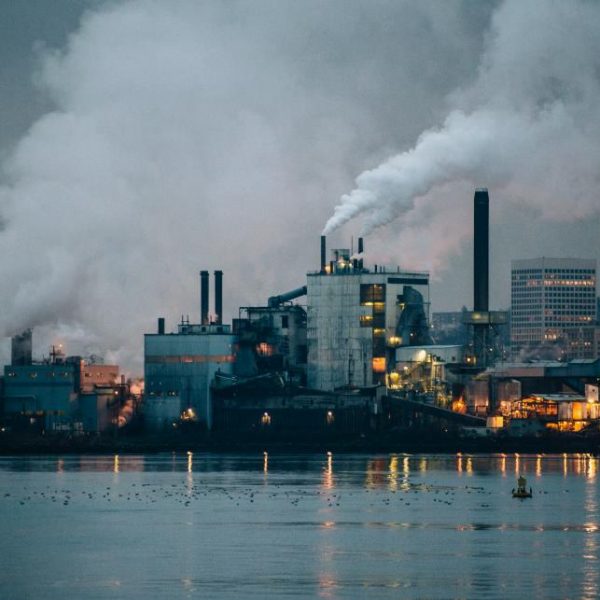 Bertaraf ve imha süreçlerinde çevre güvenliği ve profesyonel hizmet