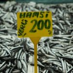 Balık fiyatları fırladı: Tezgahta 200 TL!